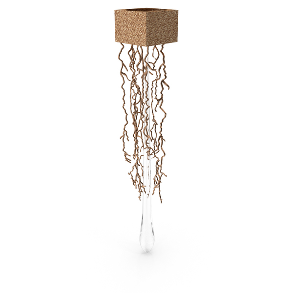 Sconce: Liquid Wall Lamp Serip PNG & PSD Images Sconce: Liquid Wall Lamp Serip PNG & PSD Images