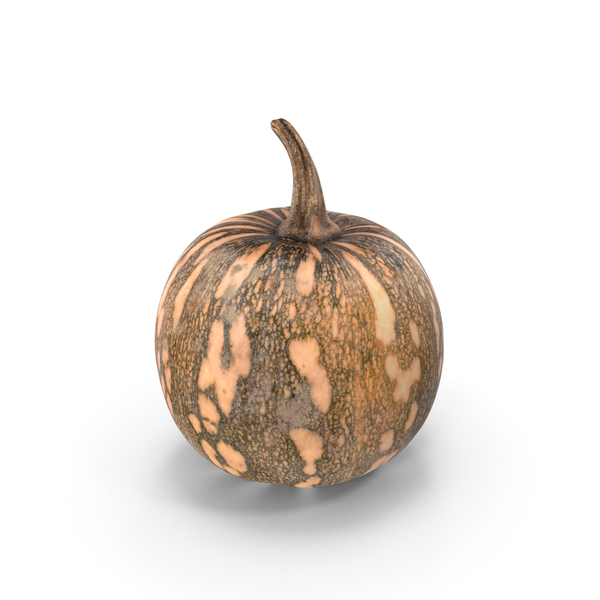 Little Pumpkin PNG & PSD Images Little Pumpkin PNG & PSD Images