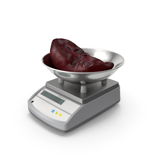 Kitchen Scale: Liver on Scales PNG & PSD Images Kitchen Scale: Liver on Scales PNG & PSD Images