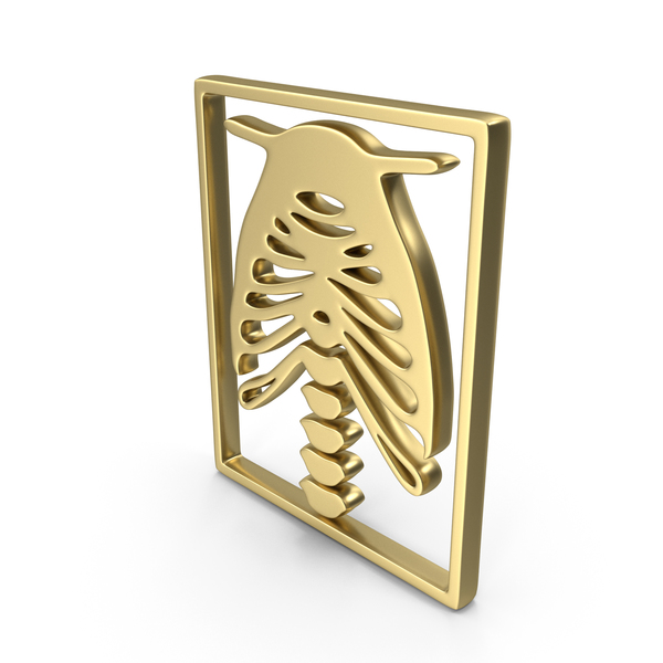 Computer Icon: Logo Xray Chest Gold PNG & PSD Images Computer Icon: Logo Xray Chest Gold PNG & PSD Images