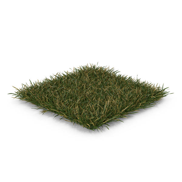 Summer: Long Square Lawn Half Dry Grass Patch PNG & PSD Images Summer: Long Square Lawn Half Dry Grass Patch PNG & PSD Images