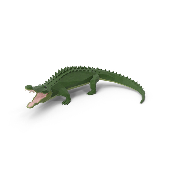 Low Poly Alligator PNG & PSD Images Low Poly Alligator PNG & PSD Images