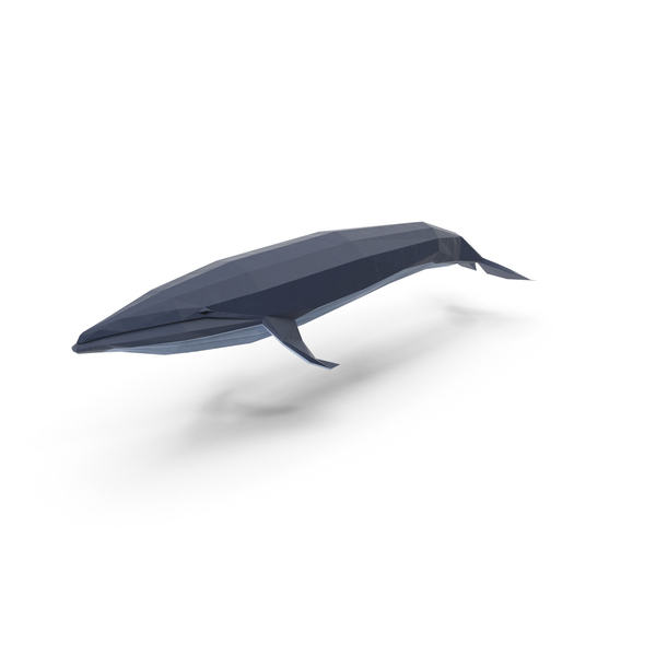 Low Poly Blue Whale PNG & PSD Images Low Poly Blue Whale PNG & PSD Images