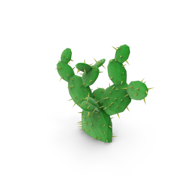 Succulent: Low Poly Cactus PNG & PSD Images Succulent: Low Poly Cactus PNG & PSD Images