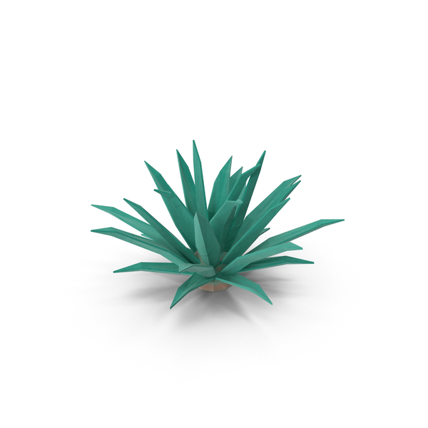 Succulent: Low Poly Cactus PNG & PSD Images Succulent: Low Poly Cactus PNG & PSD Images