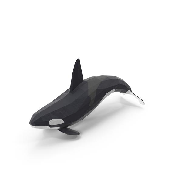 Killer: Low Poly Orca Whale PNG & PSD Images Killer: Low Poly Orca Whale PNG & PSD Images
