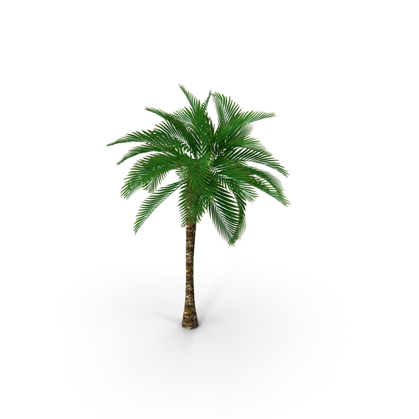 Low Polygon Palm Tree PNG & PSD Images Low Polygon Palm Tree PNG & PSD Images