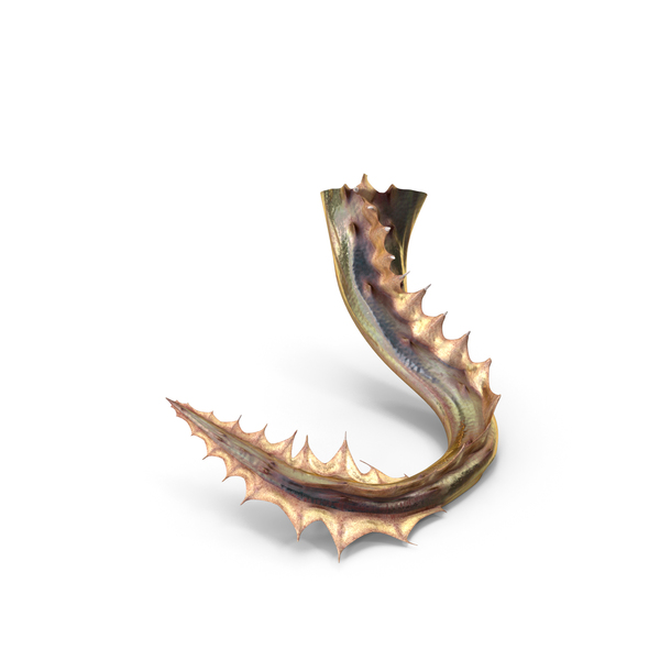 Dragon: Magical Creature Tail PNG & PSD Images Dragon: Magical Creature Tail PNG & PSD Images