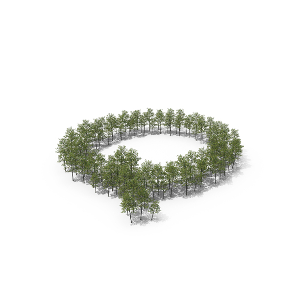 Language: Magnolia Liliiflora Trees Letter Q PNG & PSD Images Language: Magnolia Liliiflora Trees Letter Q PNG & PSD Images