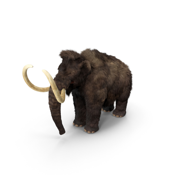 Mammoth Adult Fur PNG & PSD Images