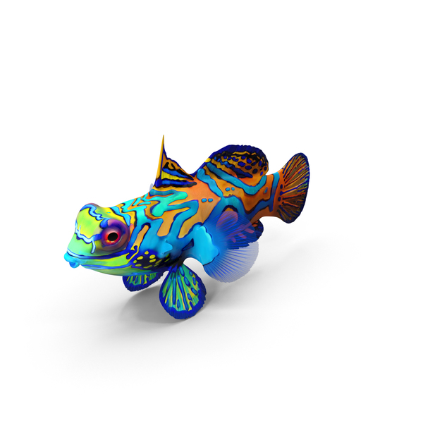 Mandarin Fish Object Mandarin Fish Object