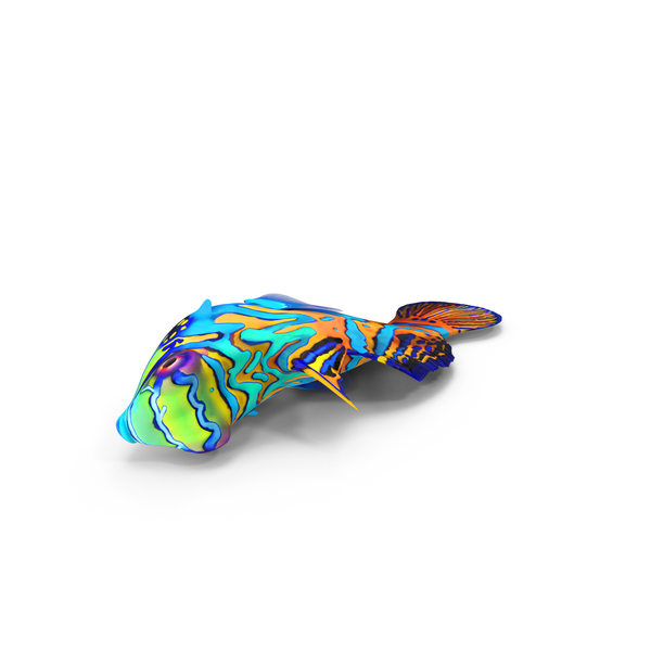 Mandarin Fish PNG & PSD Images