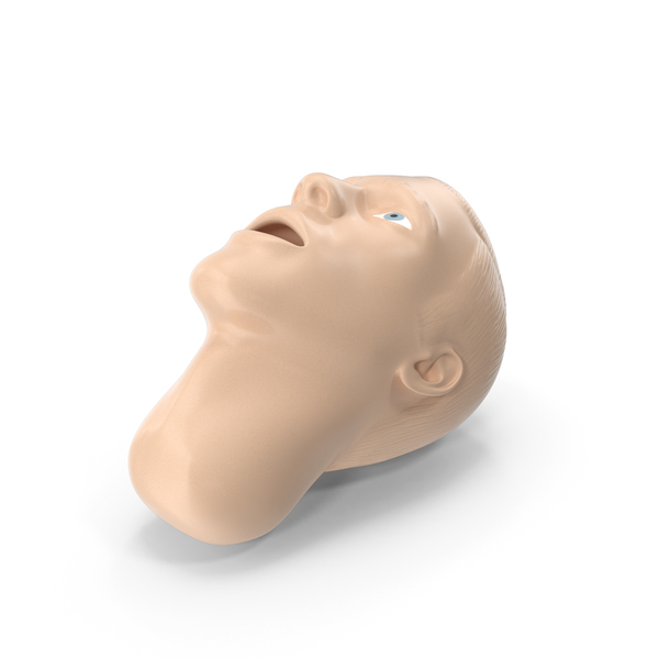Medical Devices: Manikin Head PNG & PSD Images