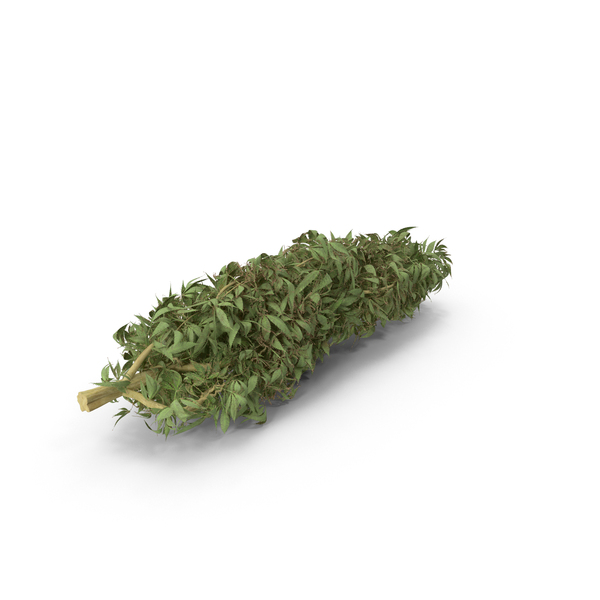 Download Marijuana Buds PNG Images & PSDs for Download | PixelSquid ...