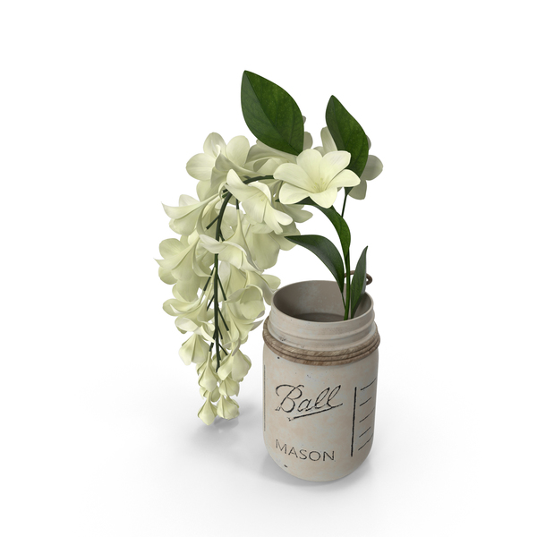 Vase: Mason Jar with Flowers PNG & PSD Images