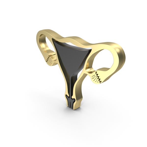 Computer Icon: Medical Female Reproductive System Logo Gold PNG & PSD Images