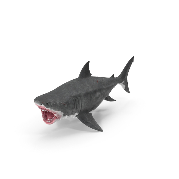 Shark: Megalodon Attacking Pose PNG & PSD Images Shark: Megalodon Attacking Pose PNG & PSD Images