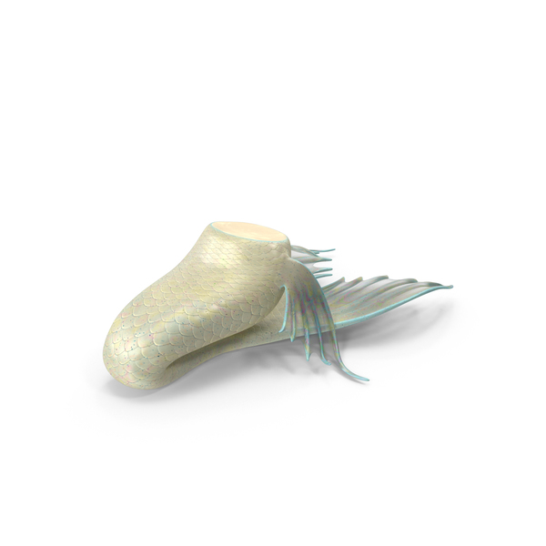 Mermaid Tail PNG & PSD Images Mermaid Tail PNG & PSD Images