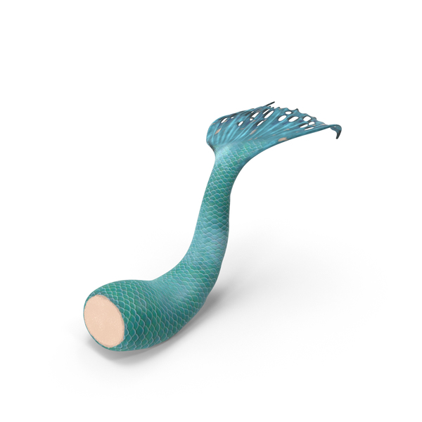 Mermaid Tail PNG & PSD Images Mermaid Tail PNG & PSD Images