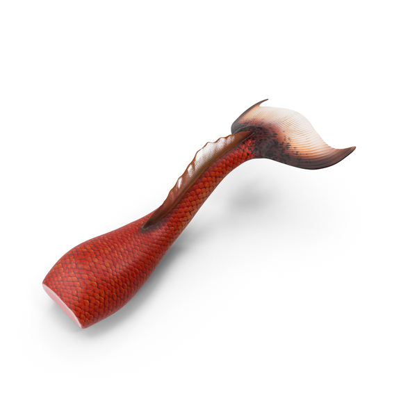 Mermaid Tail PNG & PSD Images Mermaid Tail PNG & PSD Images
