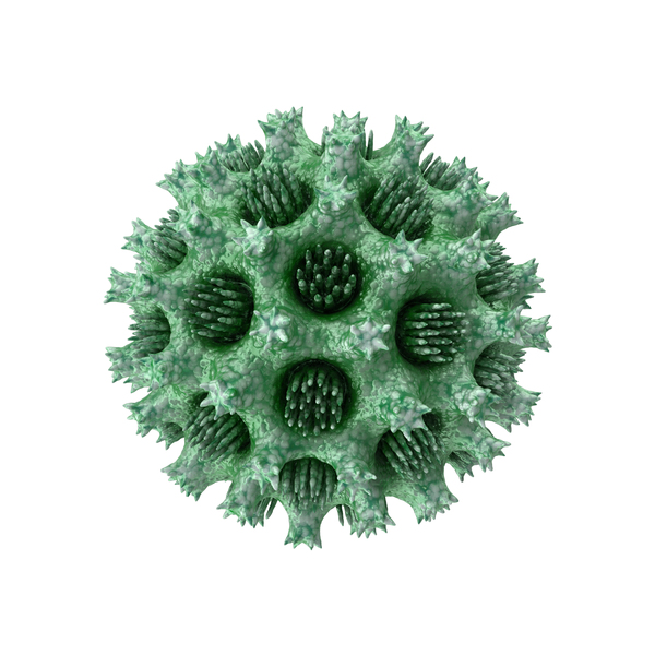 10 Virus: Microorganism Green PNG & PSD Images 10 Virus: Microorganism Green PNG & PSD Images