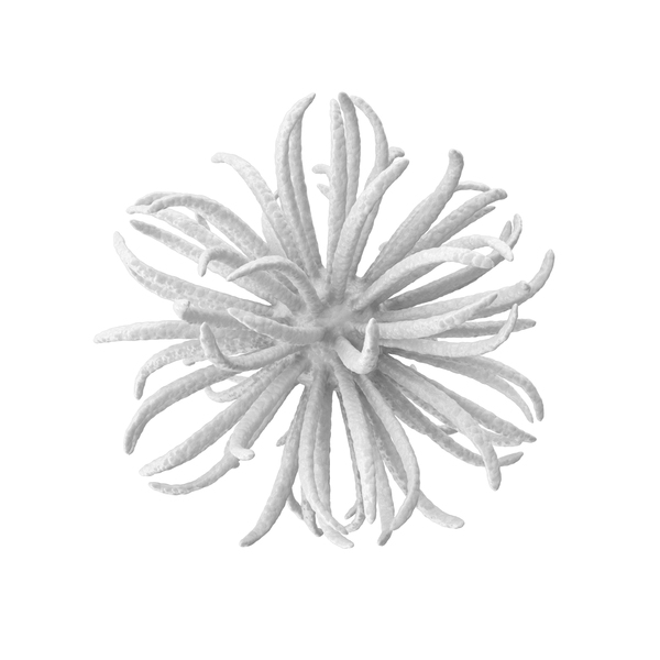 Symbols: Microscopic Object White PNG & PSD Images Symbols: Microscopic Object White PNG & PSD Images