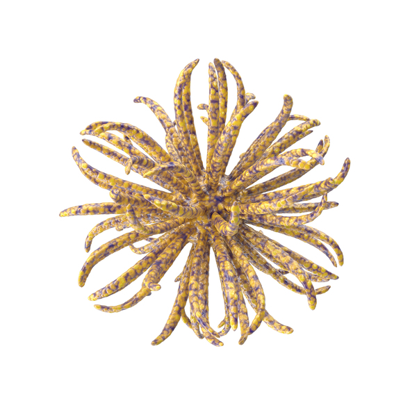Symbols: Microscopic Object Yellow PNG & PSD Images Symbols: Microscopic Object Yellow PNG & PSD Images