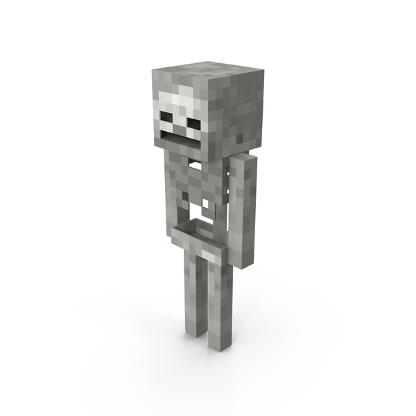 Minecraft Skeleton Png Images Psds For Download Pixelsquid S