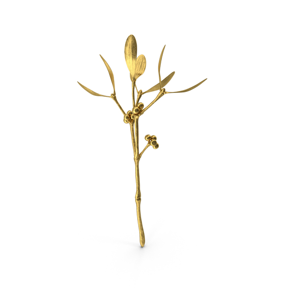 Mistletoe Gold PNG Images & PSDs for Download | PixelSquid - S11641931B