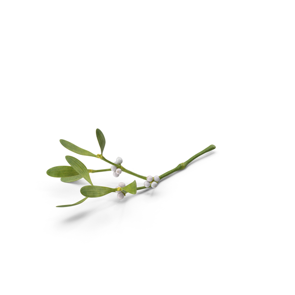 Industrial Equipment: Mistletoe PNG & PSD Images