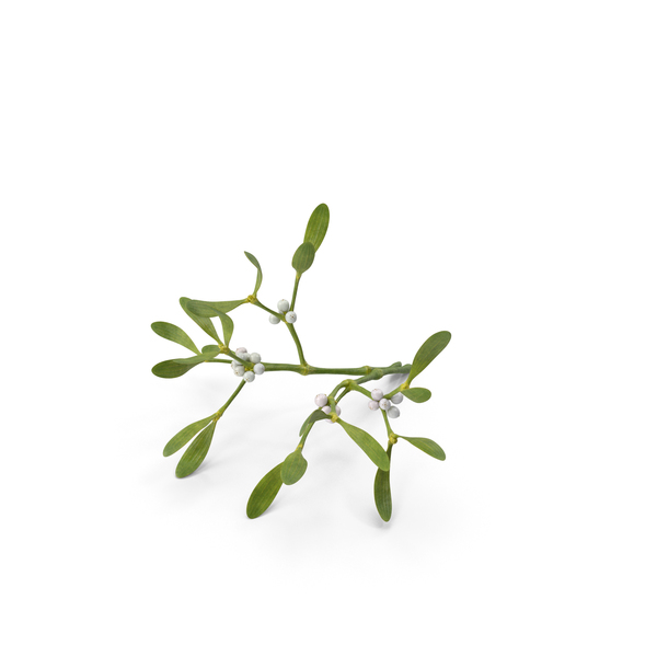 Industrial Equipment: Mistletoe PNG & PSD Images Industrial Equipment: Mistletoe PNG & PSD Images