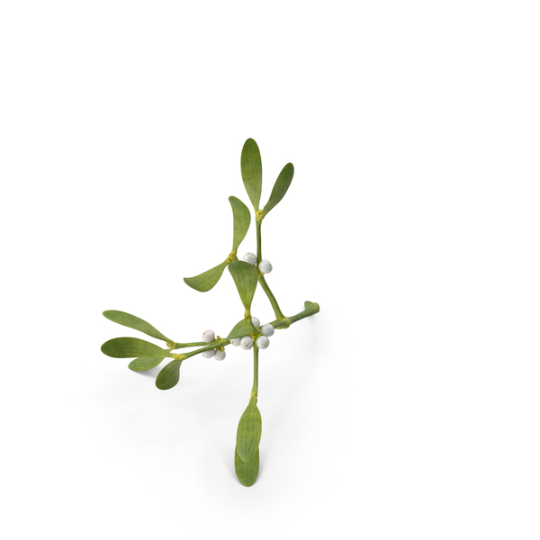 Industrial Equipment: Mistletoe PNG & PSD Images Industrial Equipment: Mistletoe PNG & PSD Images