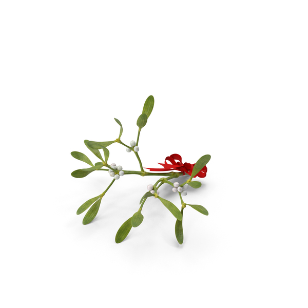 Industrial Equipment: Mistletoe with Red Bow PNG & PSD Images