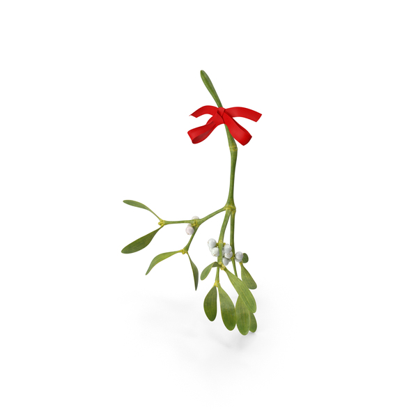 Wreath: Mistletoe with Red Bow PNG & PSD Images Wreath: Mistletoe with Red Bow PNG & PSD Images