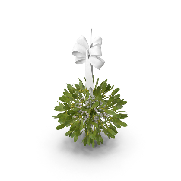 Wreath: Mistletoe with White Bow PNG & PSD Images