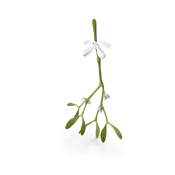 Wreath: Mistletoe with White Bow PNG & PSD Images Wreath: Mistletoe with White Bow PNG & PSD Images