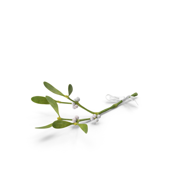 Wreath: Mistletoe with White Bow PNG & PSD Images