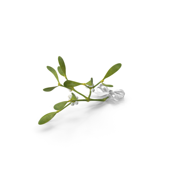Wreath: Mistletoe with White Bow PNG & PSD Images