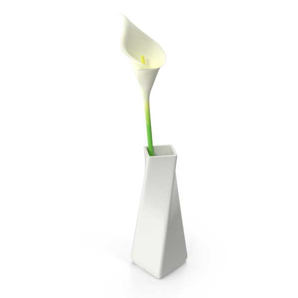 Modern Vase with Flower PNG & PSD Images Modern Vase with Flower PNG & PSD Images