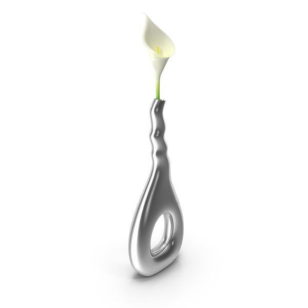 Calla: Modern Vase with Flower PNG & PSD Images Calla: Modern Vase with Flower PNG & PSD Images