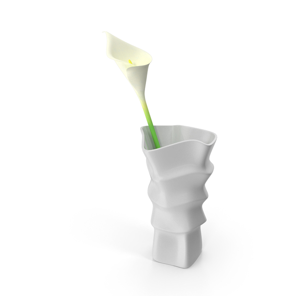 Calla: Modern Vase with Flower PNG & PSD Images