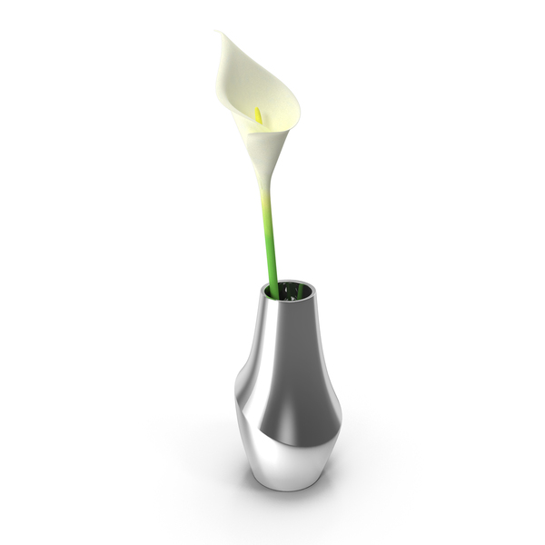 Calla: Modern Vase With Flower PNG & PSD Images Calla: Modern Vase With Flower PNG & PSD Images