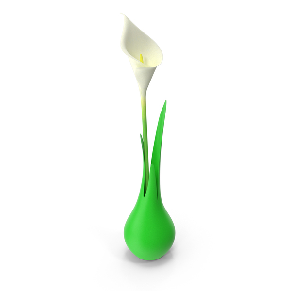 Calla: Modern Vase with Flower PNG & PSD Images Calla: Modern Vase with Flower PNG & PSD Images