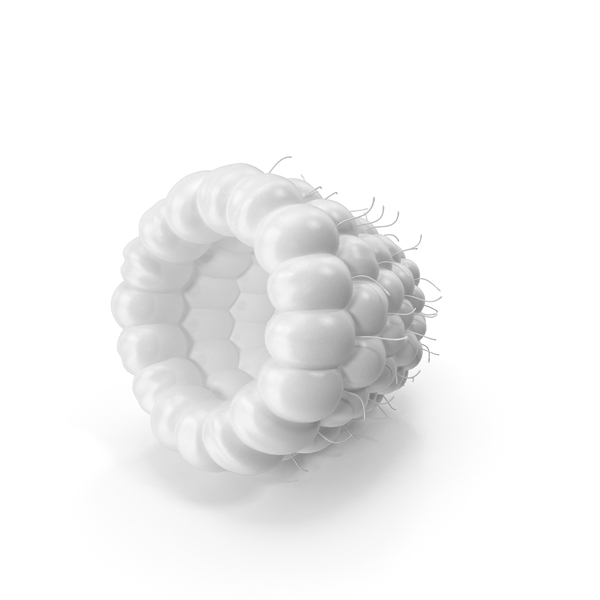 Monochrome Raspberry PNG & PSD Images Monochrome Raspberry PNG & PSD Images