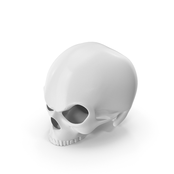 Monochrome Skull PNG & PSD Images