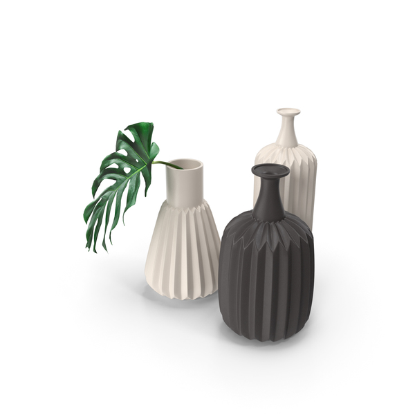 Plant: Monstera Leaves PNG & PSD Images