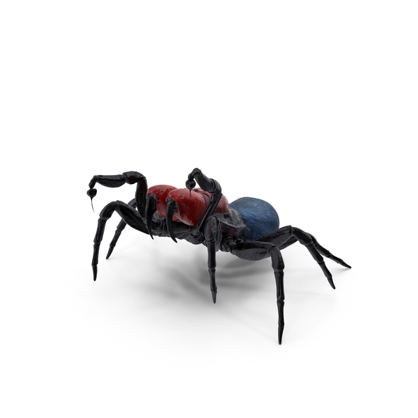 Mouse Spider Fighting Pose with Fur PNG & PSD Images Mouse Spider Fighting Pose with Fur PNG & PSD Images