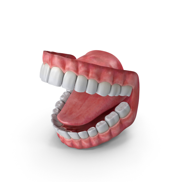 Teeth: Mouth PNG & PSD Images Teeth: Mouth PNG & PSD Images