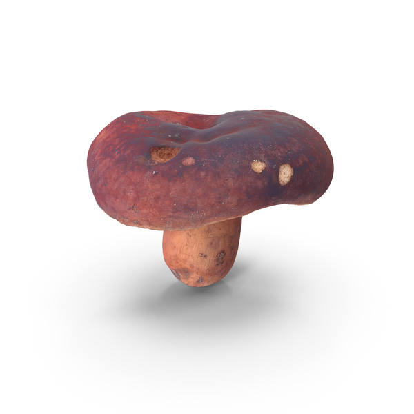 Mushroom PNG & PSD Images Mushroom PNG & PSD Images