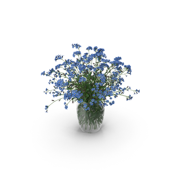 Bouquet: Myosotis PNG & PSD Images Bouquet: Myosotis PNG & PSD Images